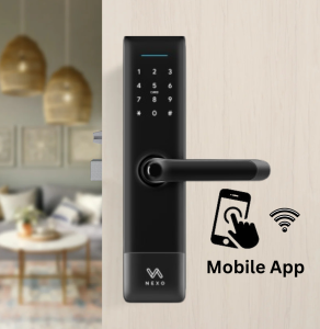 Smart Door with App