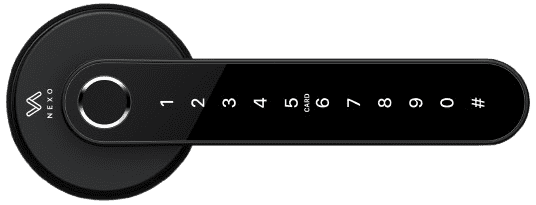 n01